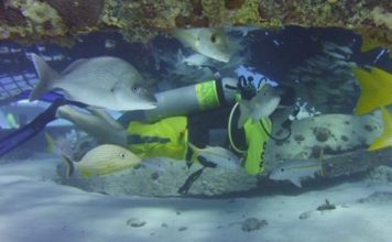 Fondation : pleins feux sur Robert Rhéaume