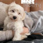 135795865_1481369062068126_2316058908274195592_n