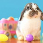 169064501_273199787760608_2356791868047642438_n