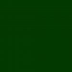 176156833_1853776524793329_9148639195322765649_n