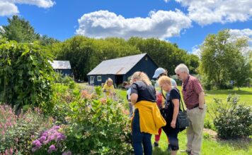 Groupe de personnes en plein air, entourant un buisson de fleurs